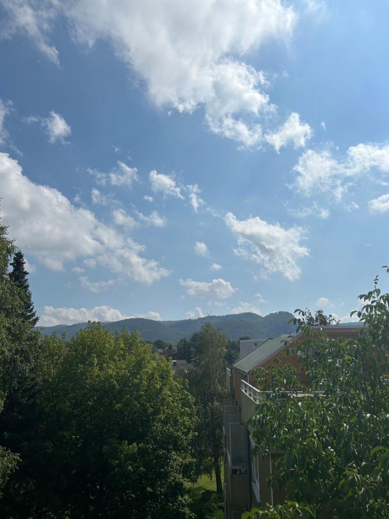 Penthouse ,,Kleine Auszeit" Appartement Bad Harzburg Buitenkant foto